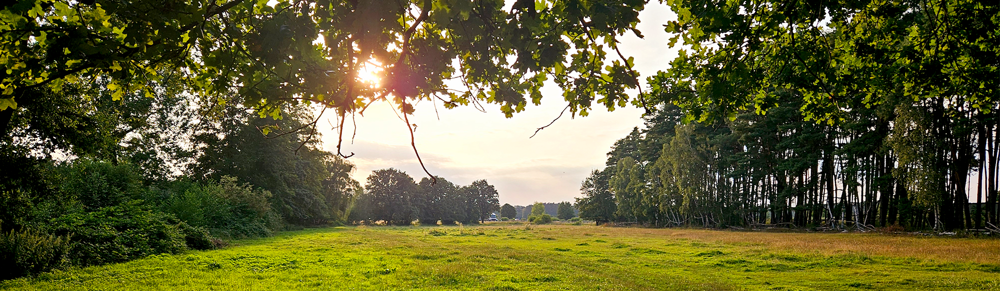 Weitläufige Natur lädt zu langen Ausritten ein
